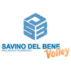 Pallavolo Scandicci (w) logo