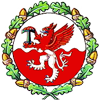 Trafford FC logo