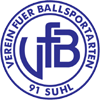 VFB 91 Suhi logo