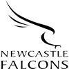 Newcastle Red Bulls logo