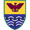 Northern Brave logo